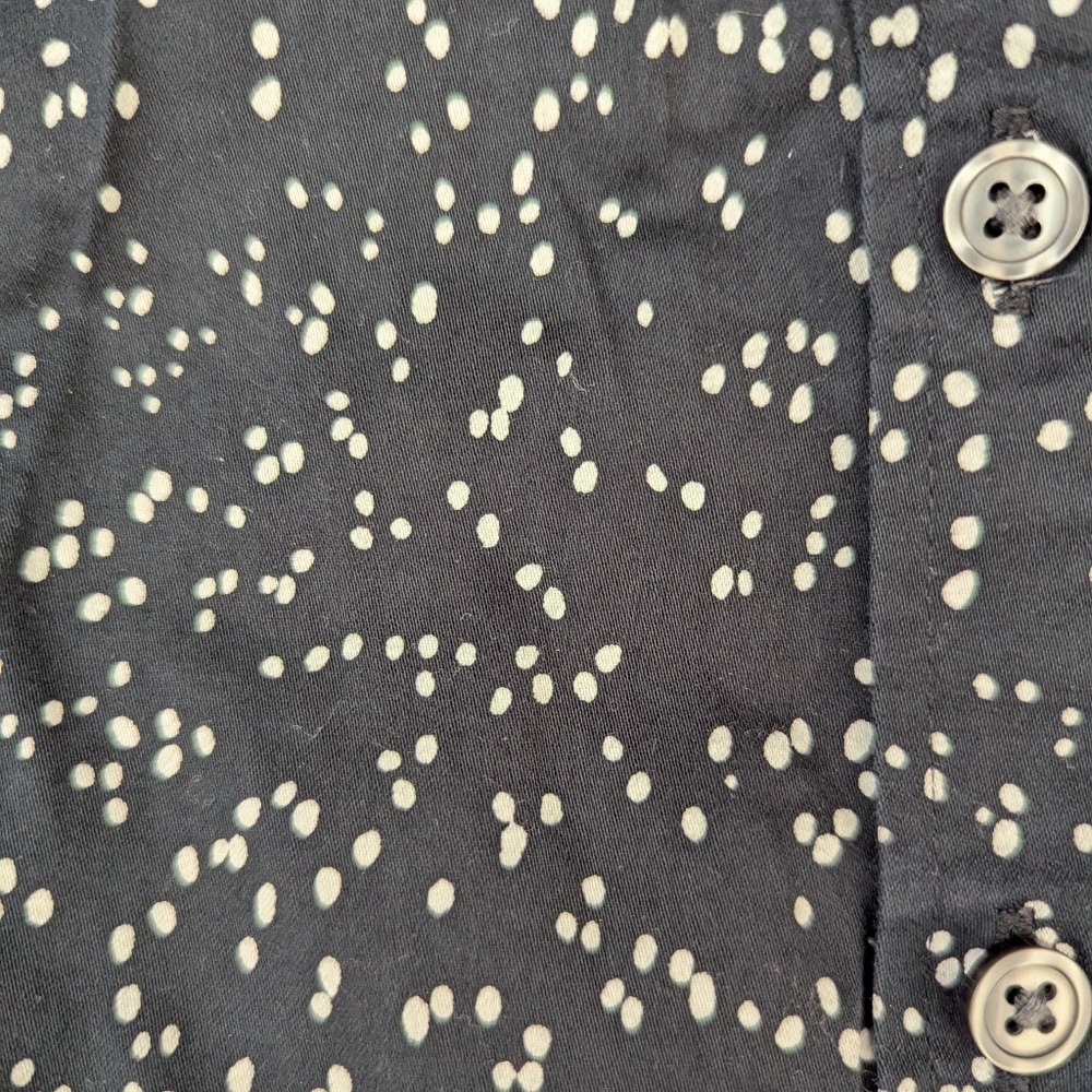 Banana Republic non-iron dotted button down sz 6